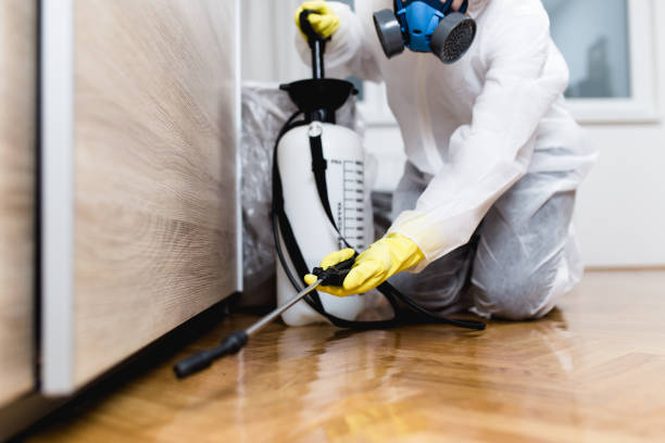 Pest Prevention Services in Ottawa Hills, OH