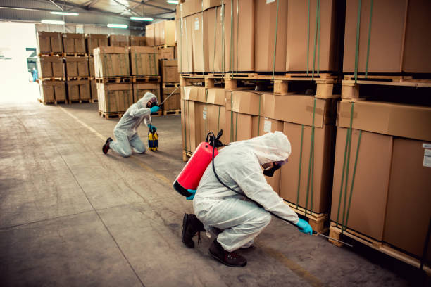 Best Affordable Pest Control Services  in Ottawa Hills, OH