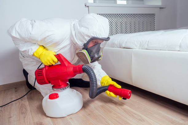 Best Termite Control Services  in Ottawa Hills, OH