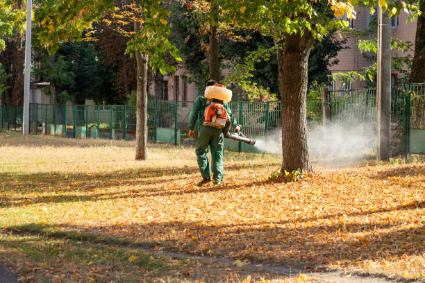 Best Mosquito Control Services  in Ottawa Hills, OH