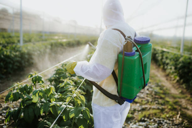 Wasp Removal Services in Ottawa Hills, OH